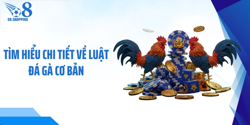 Tìm hiểu chi tiết về luật đá gà cơ bản